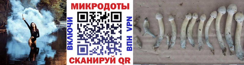 Псилоцибиновые грибы мухоморы  как найти   Полярные Зори 